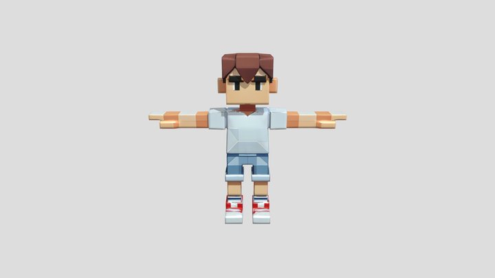 blocky pixelated human figure 3D Model