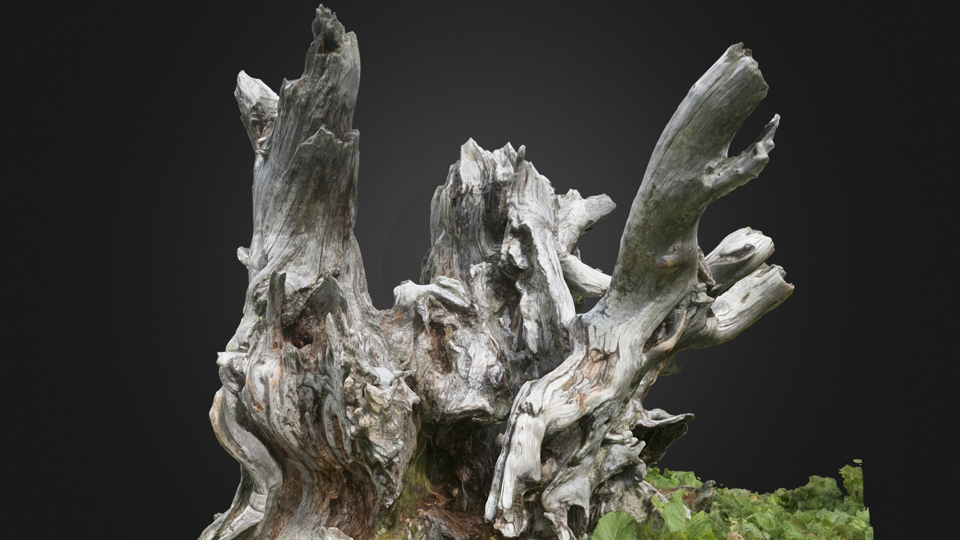 3D model Arbre mort, parc naturel régional Gruyère,Suisse - This is a 3D model of the Arbre mort, parc naturel régional Gruyère,Suisse. The 3D model is about a tree trunk with carvings.