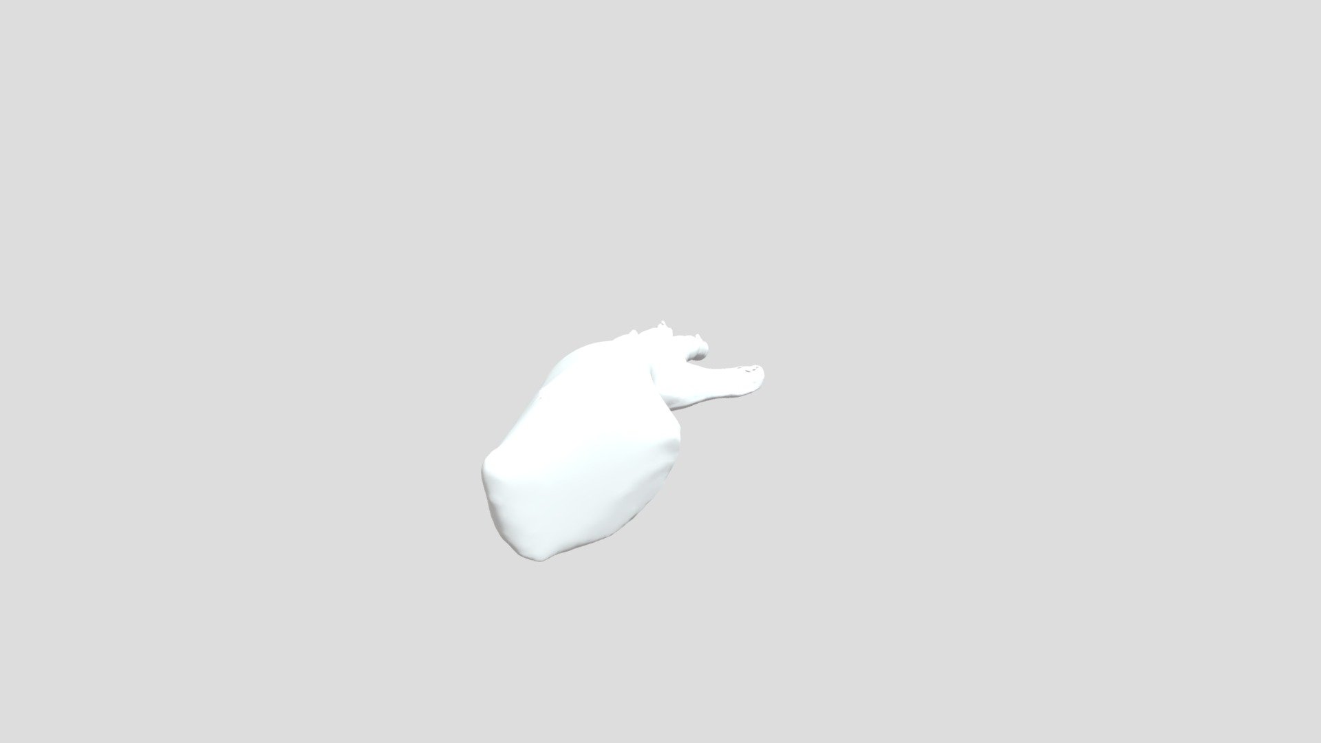 Neta Scan Hand OBJ - 3D model by NETA67 [5885611] - Sketchfab