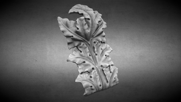 Foglia2a OK 3D Model