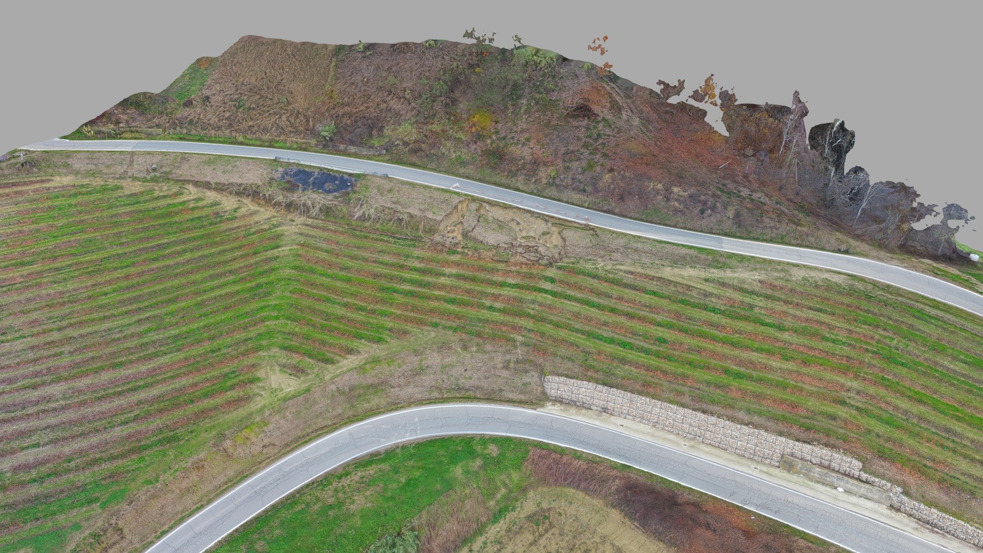 Prov. Asti Cisterna D'Asti Via XXIV Maggio Download Free 3D model