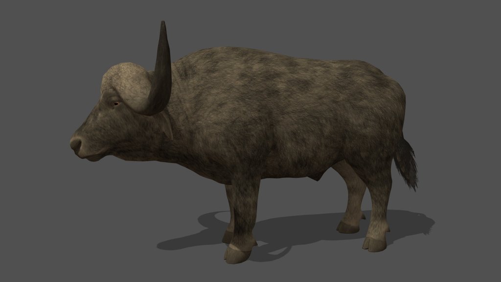 Animated African Buffalo – 3D Animal Model