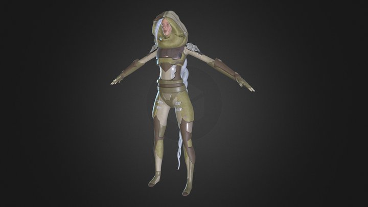 RogueNinja 3D Model