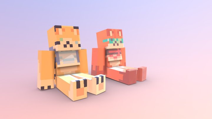 a 3D Model