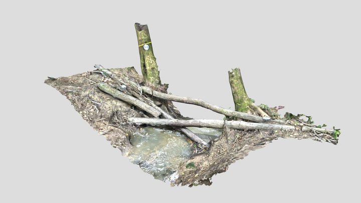 Pickeridge Farm Upstream Leaky Dam 20210901 3D Model