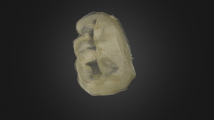 Son's Hand 3D Model