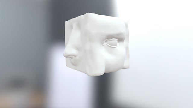 Facial features study 3D Model