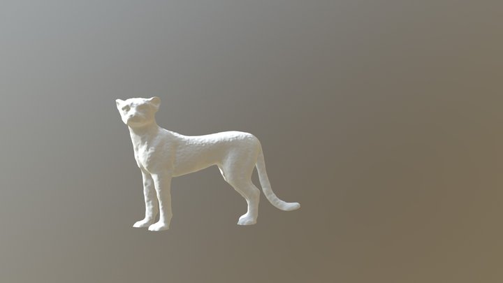 cheetah sierra 3D Model