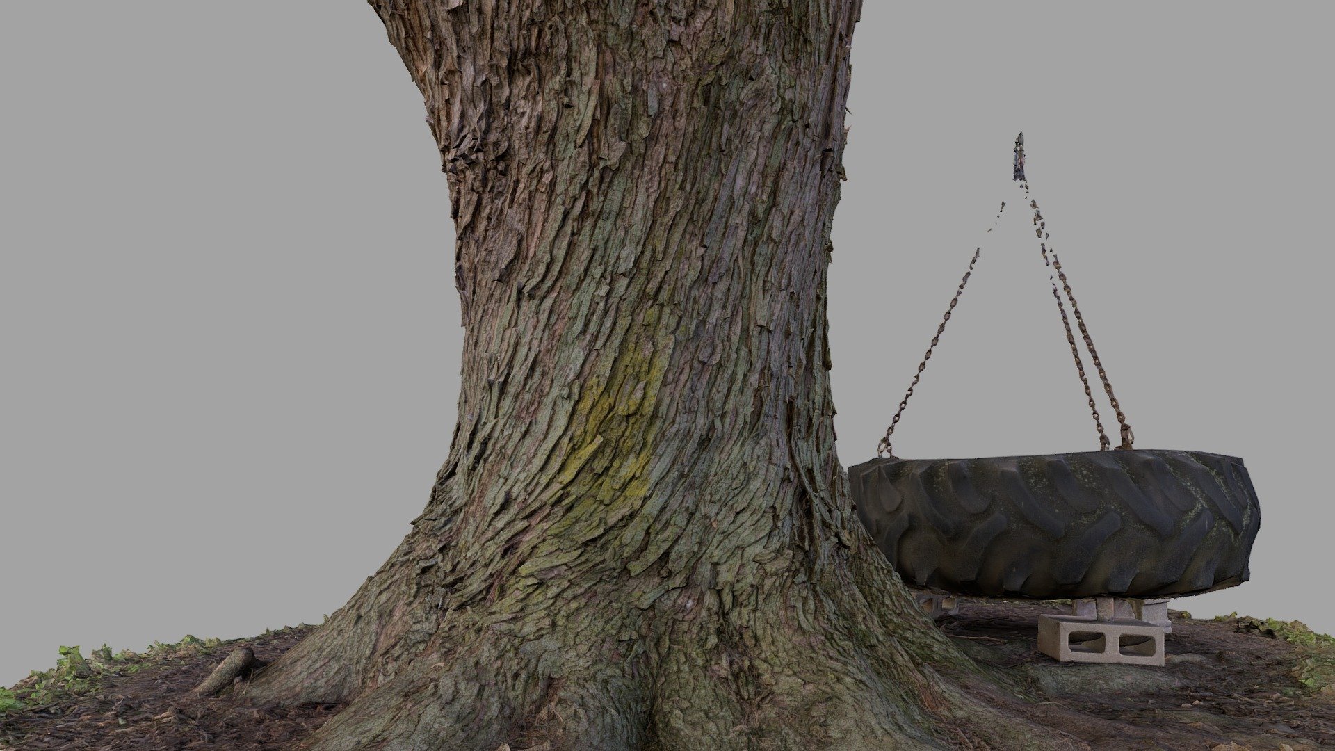 Tree Trunk & Tractor Tire