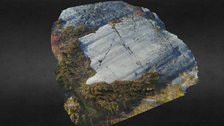Alta Rock Art: Bergheim 8 3D Model