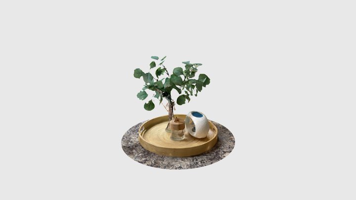 Pot in kitchen 3D Model