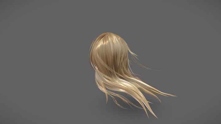 Wind Blowing Long Female Hair 3D Model