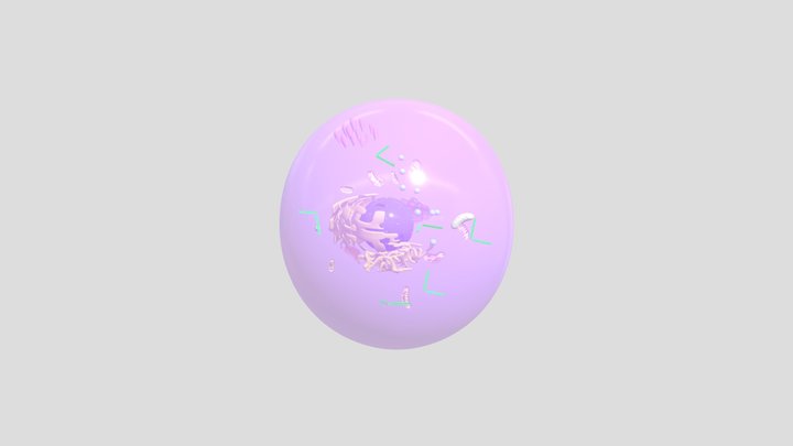 Cell 3D Model