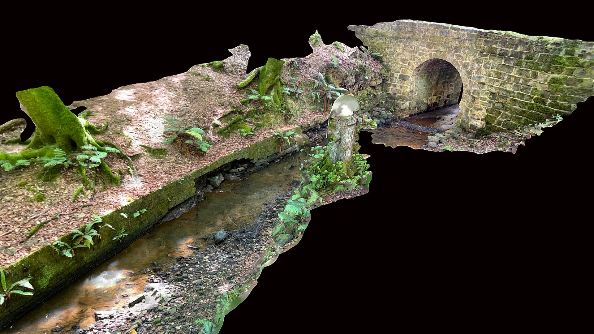 Tranquility Bridge