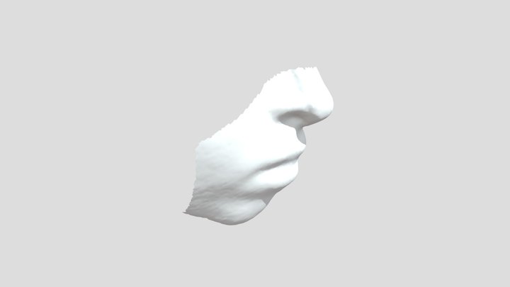 Fitted surgical mask 3D Model
