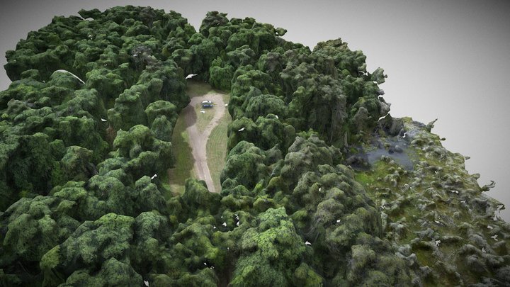 Savanna State Forest 2022 3D Model