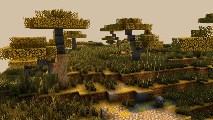 Savana Biome 3D Model