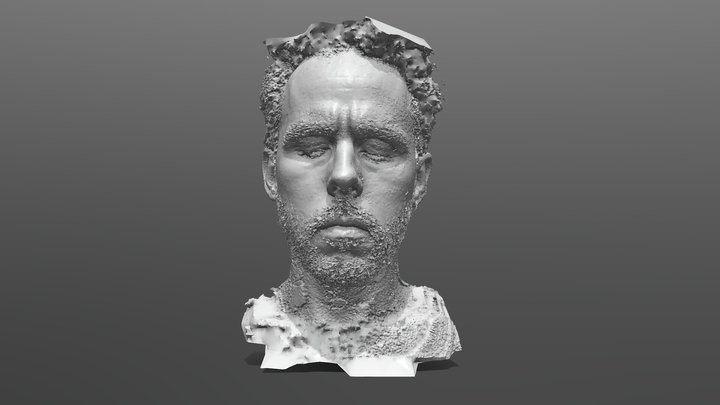 Raw Photogrammetry Scan with Decimation 3D Model