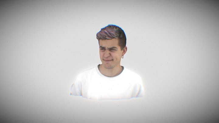 Zoom 3D Model