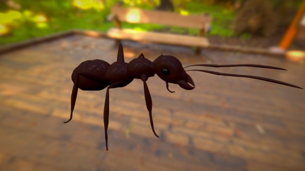 Ant