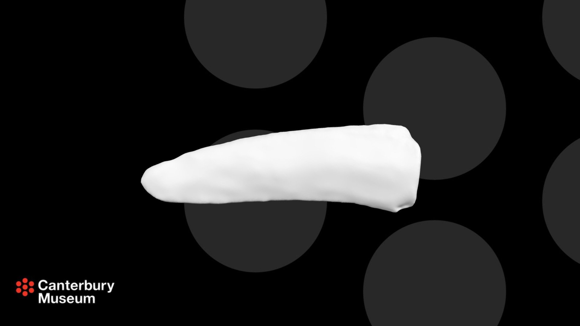Chinstrap penguin (P. antarctica) dig. 2 phx. 2
