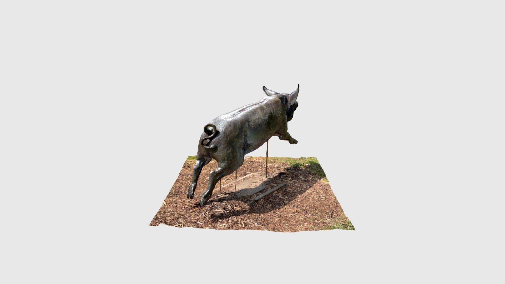 Francis the Pig