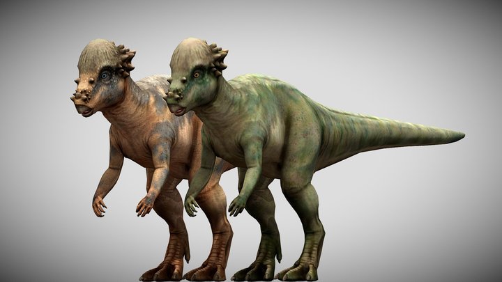JW: PO Pachycephalosaurus – Free 3D Model STL