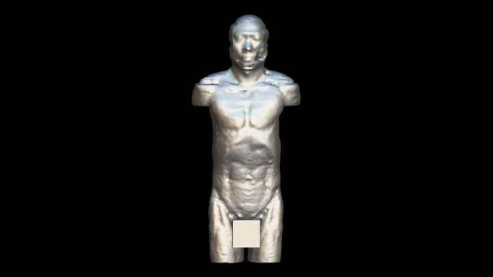 Real torso made from CT (under skin) 3D Model