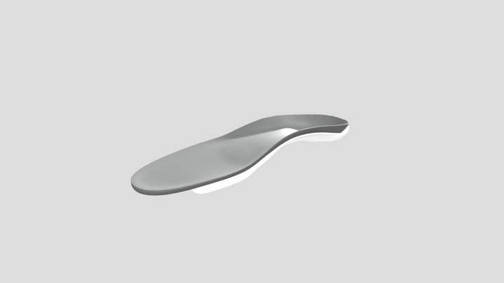 Insole 3D Model