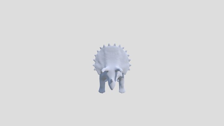 Triceratops 3D Model
