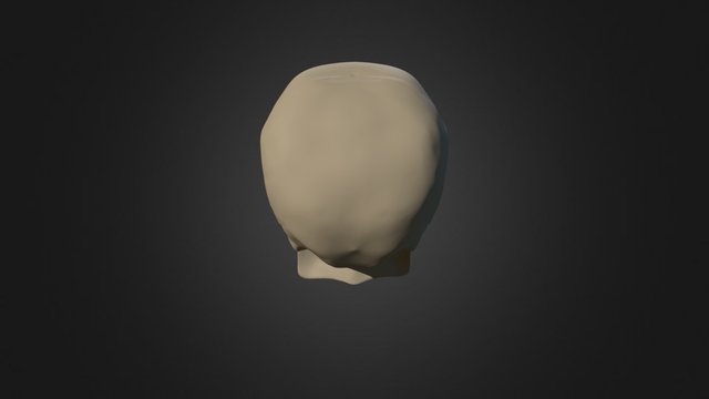 Caveira Cranio 3D Model