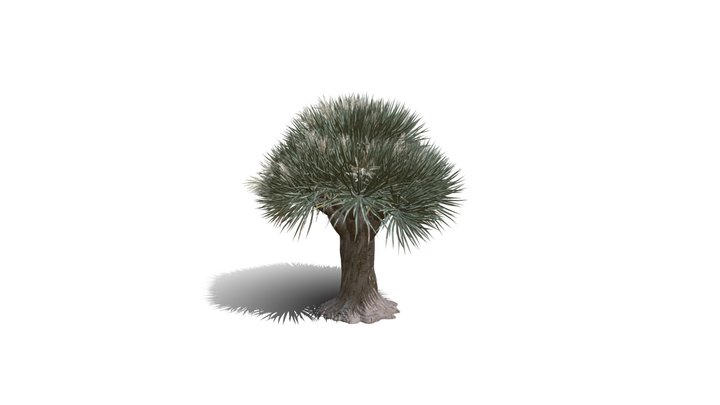 Realistic HD Dragon tree (9/50) 3D Model