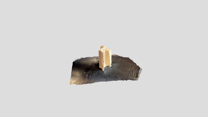 Rep model 3 3D Model