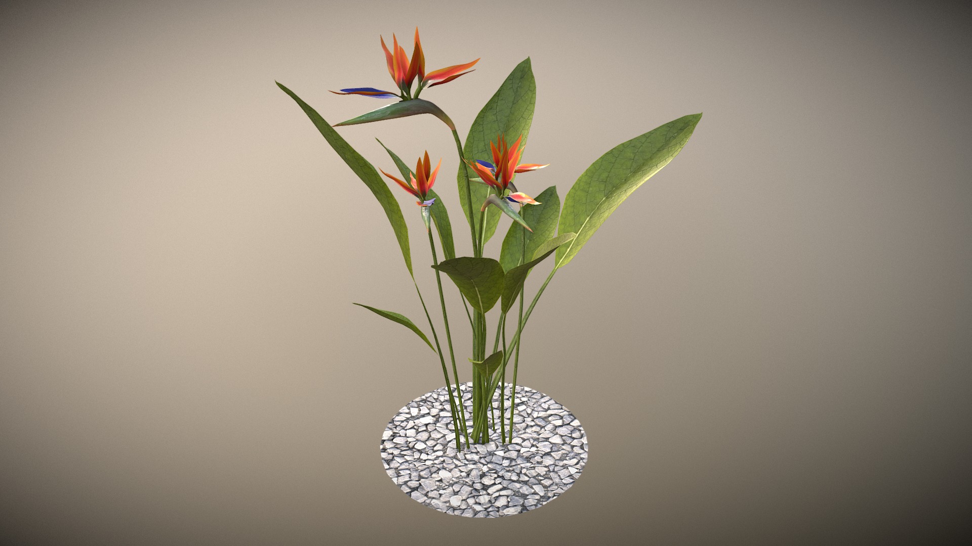 3D model Sterlicia - This is a 3D model of the Sterlicia. The 3D model is about a plant in a pot.