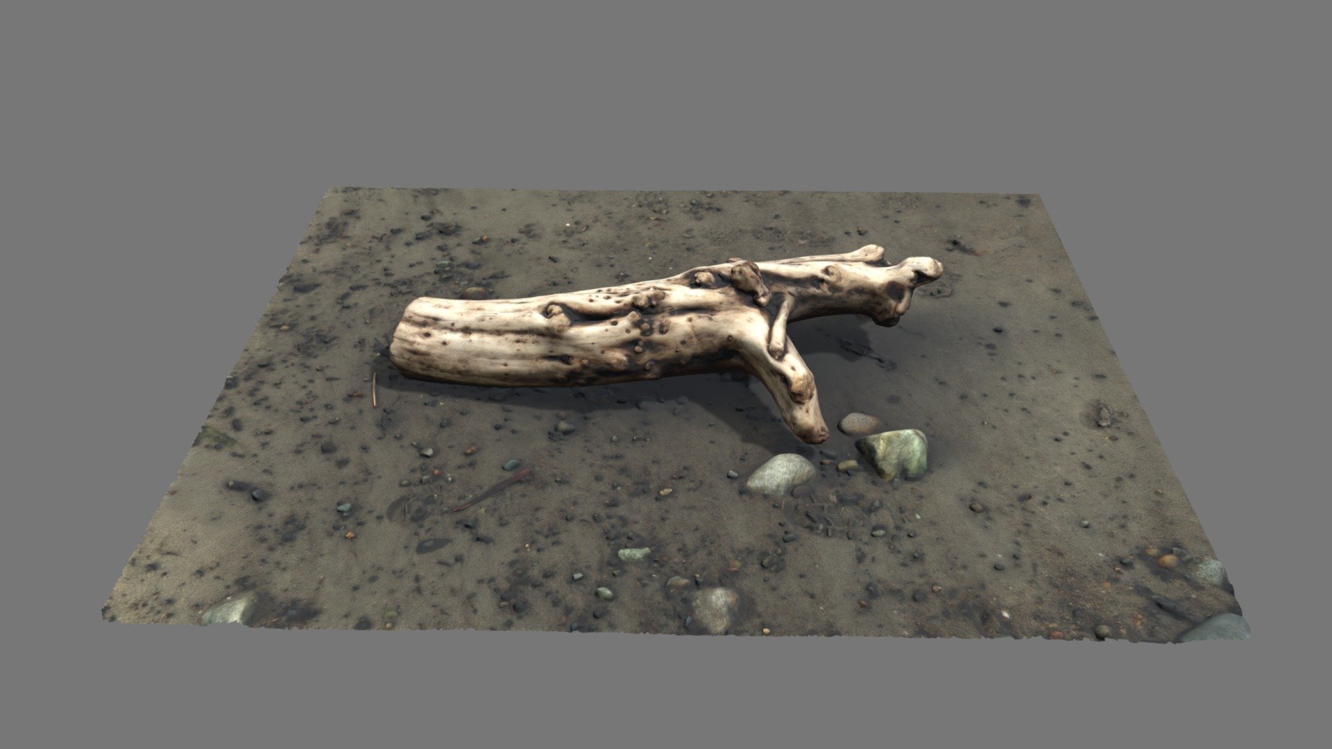 Log From Witty's Lagoon