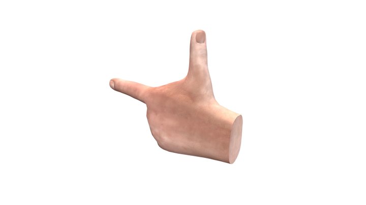 Left Hand Rule 3D Model