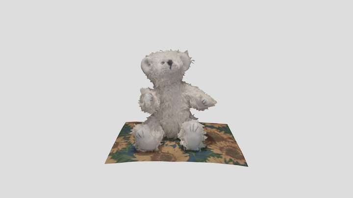 The Bear 3D Model