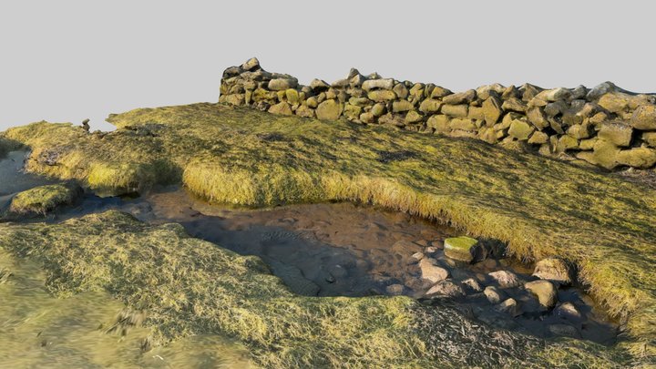 Oranmore | Wall beside the basin 3D Model
