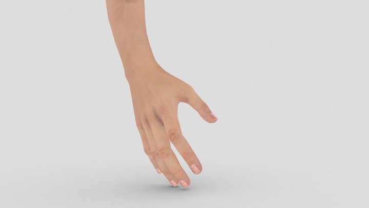 Female Hand Gesture - Grab 3D Model