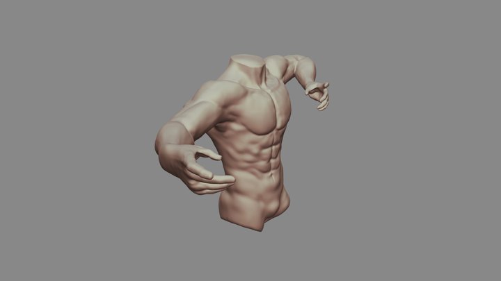 Male Torso 1 3D Model