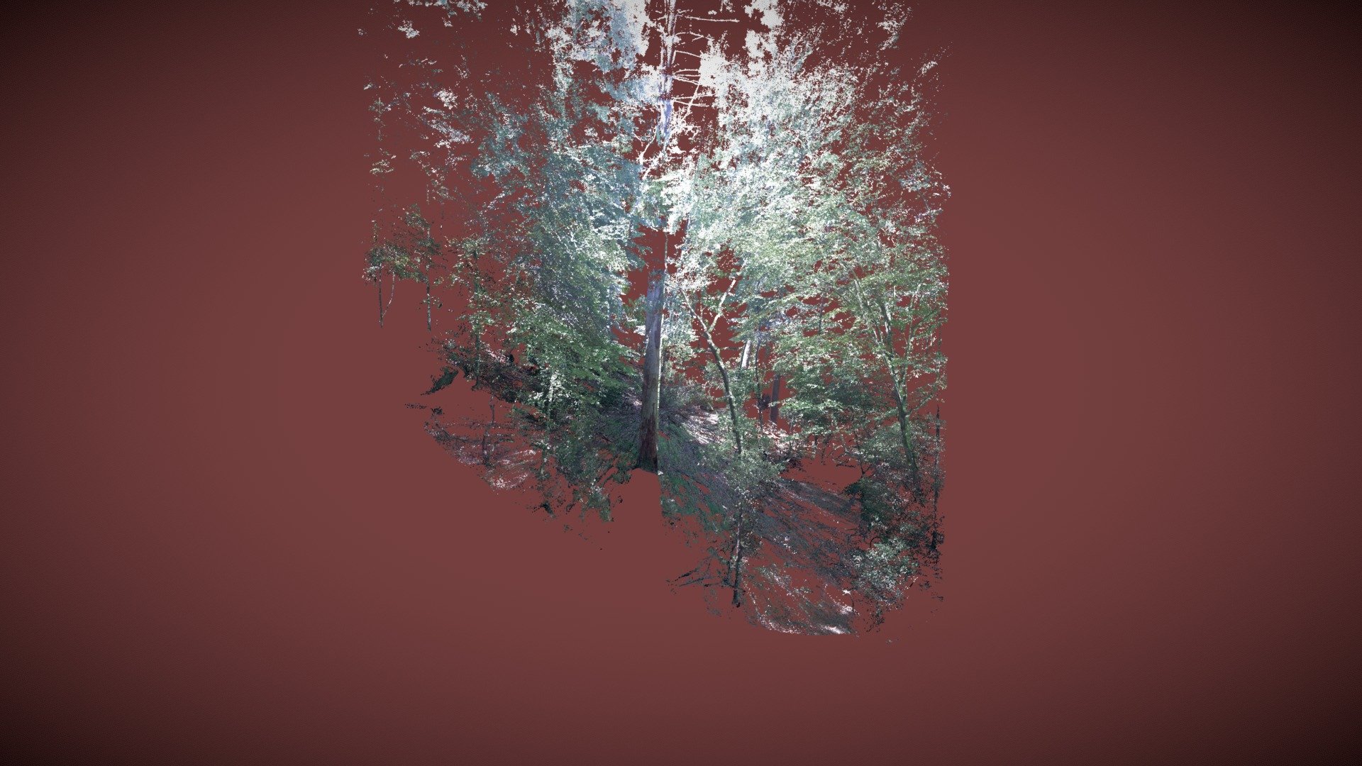 APSF00920621 Cropped — Sketchfab embed 3D viewer