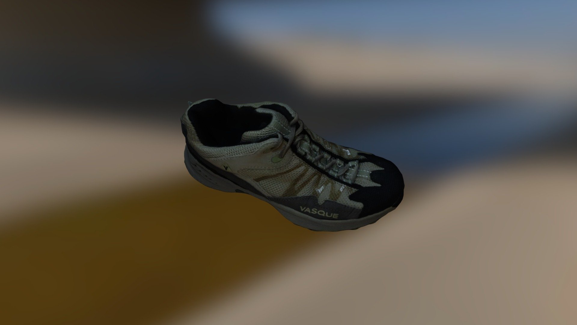 Shoe