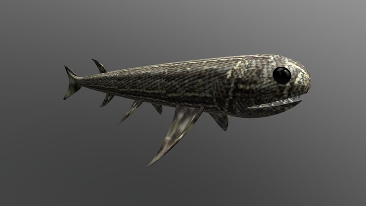 Acanthodes – Gratis 3D-model STL