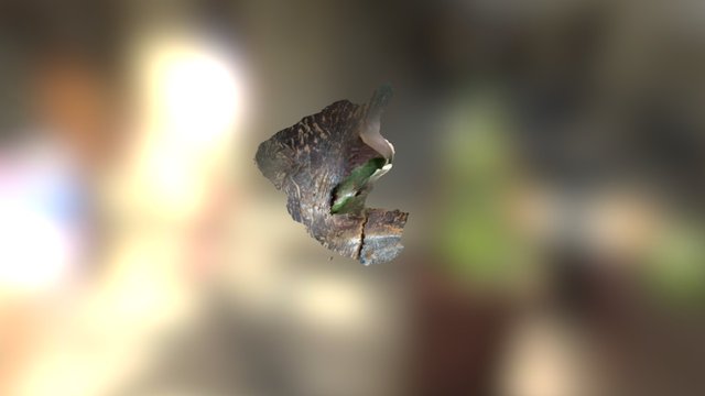 Flower1 3D Model