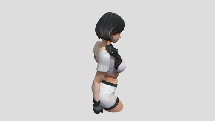 Porofessor Free for Windows 3D Model