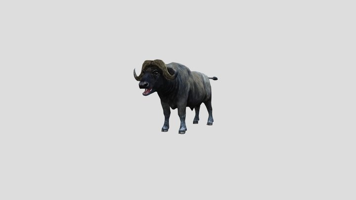 African buffalo – Modèle 3D gratuit STL