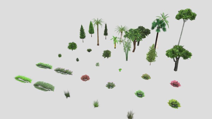 Plant_and_bush_2025 3D Model