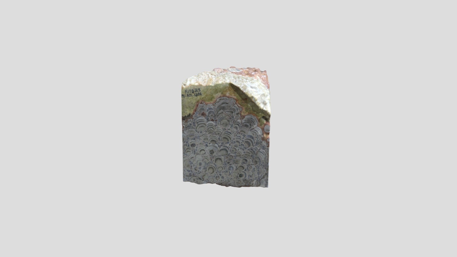 Unknown Sedimentary Structure 15