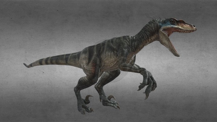 Animated JWR Velociraptor 3D Model