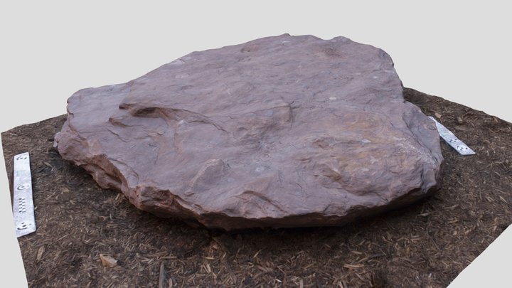 Rock Garden Sample Rippled Sandstone 3D Model